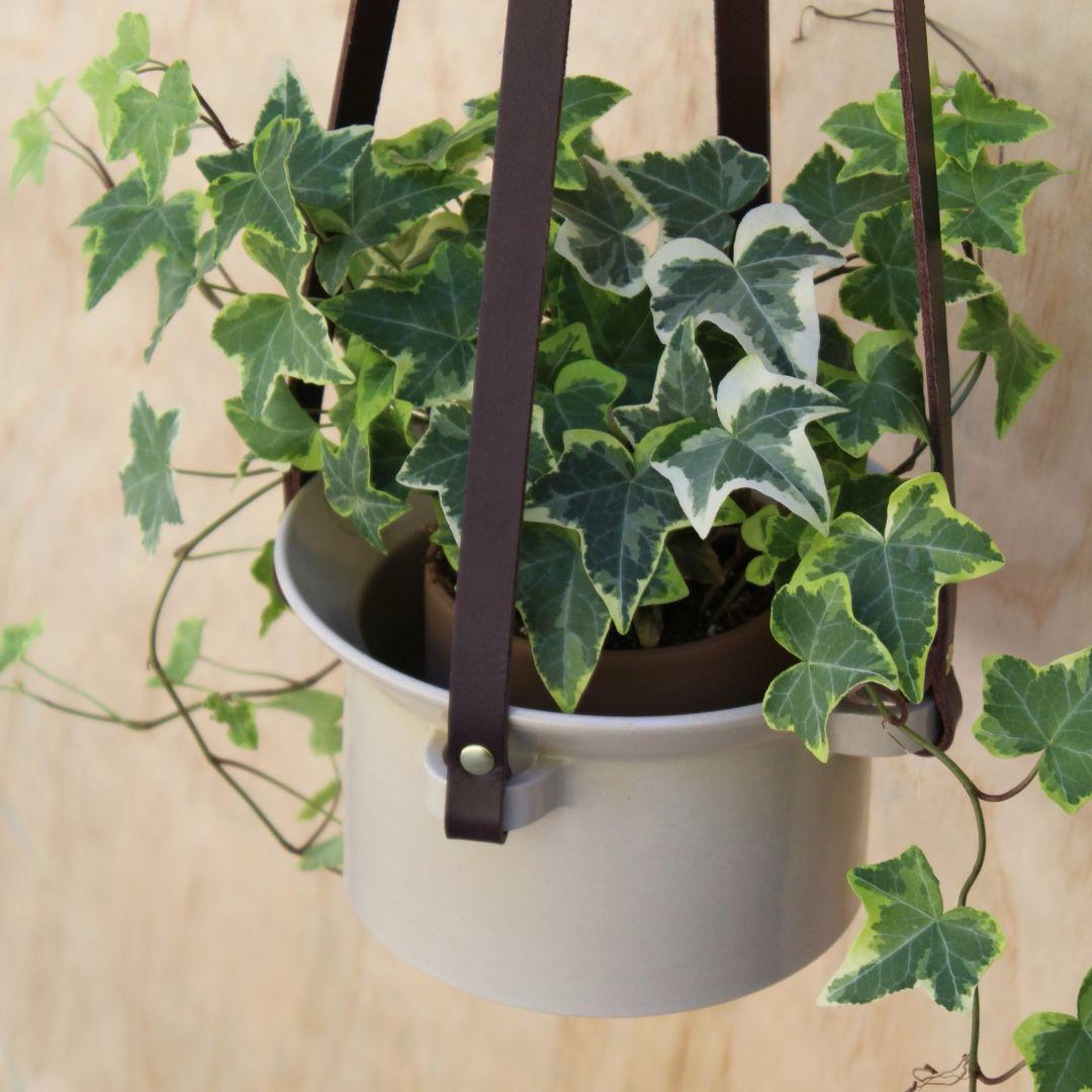 Pot à irrigation intégrée