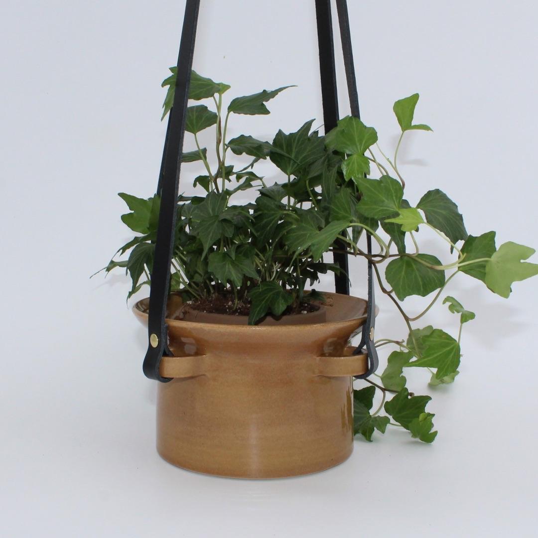 Pot à irrigation intégrée