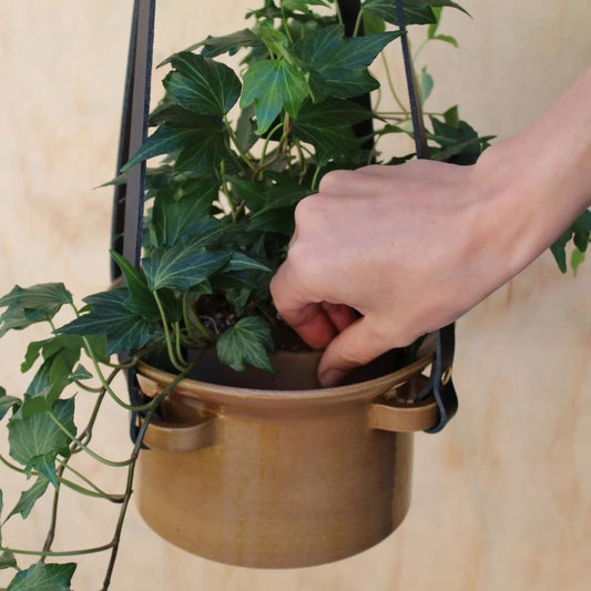 Pot à irrigation intégrée