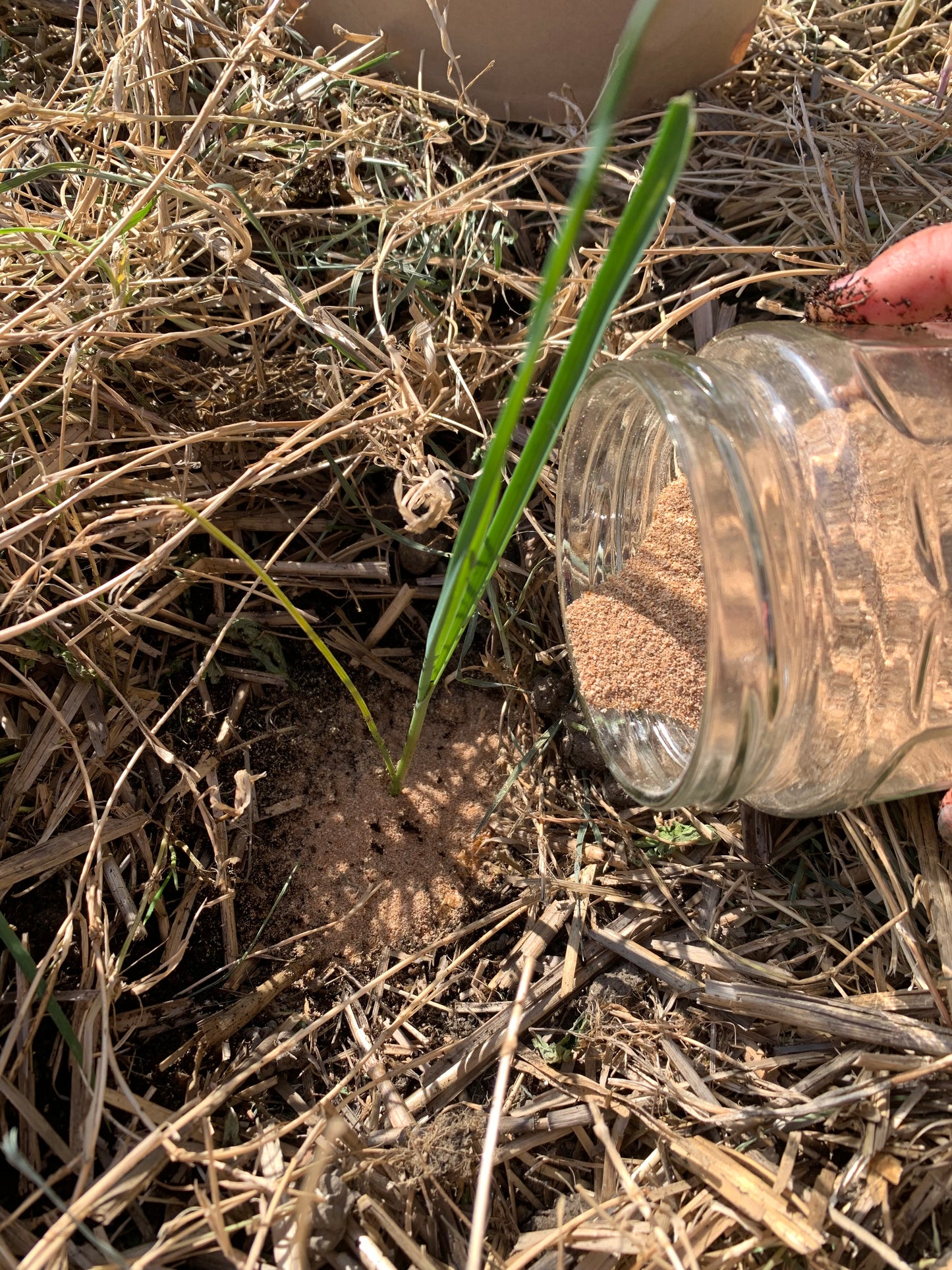 agriculture, agricole, recyclage
